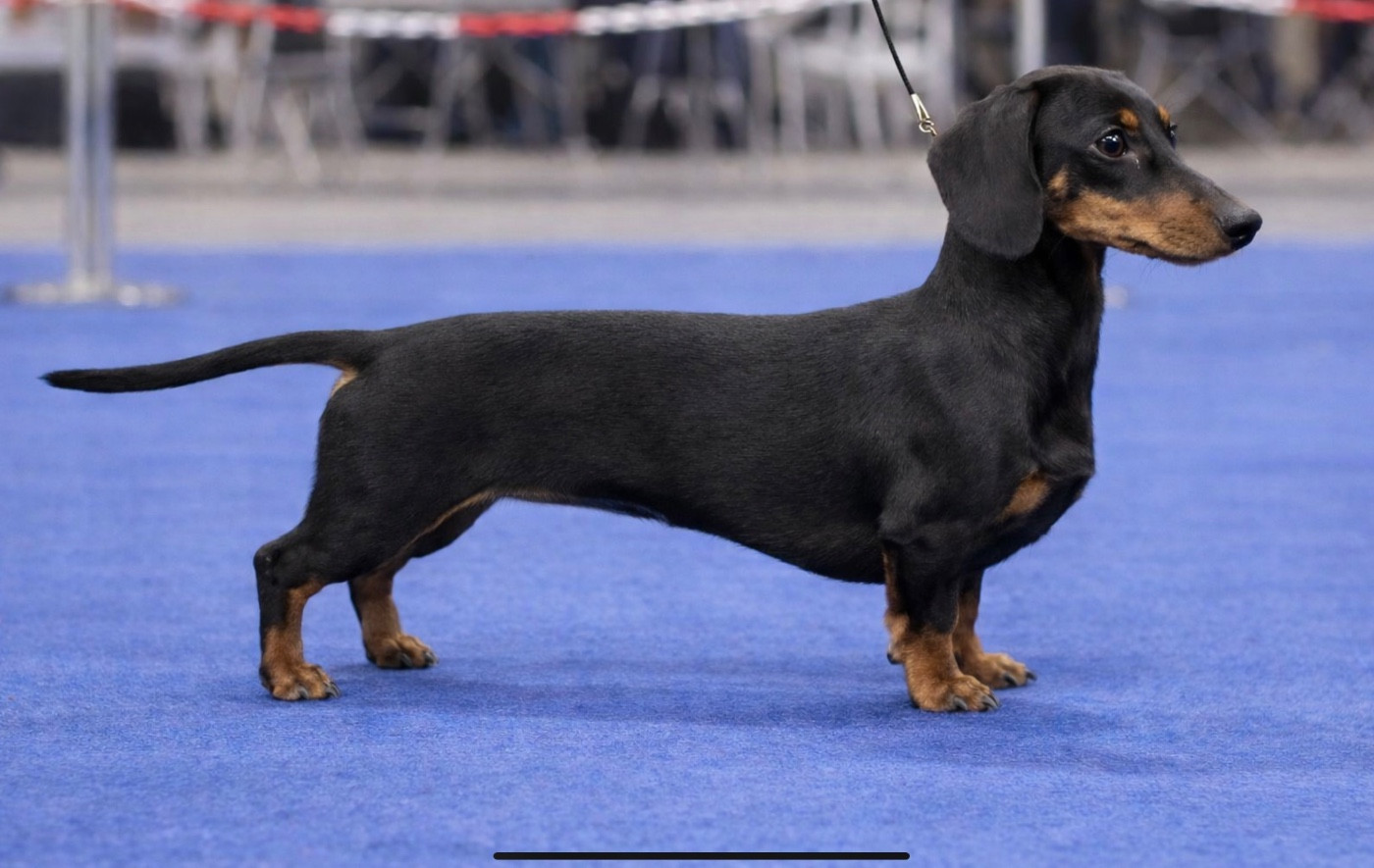 Astronomia di ca preziosa